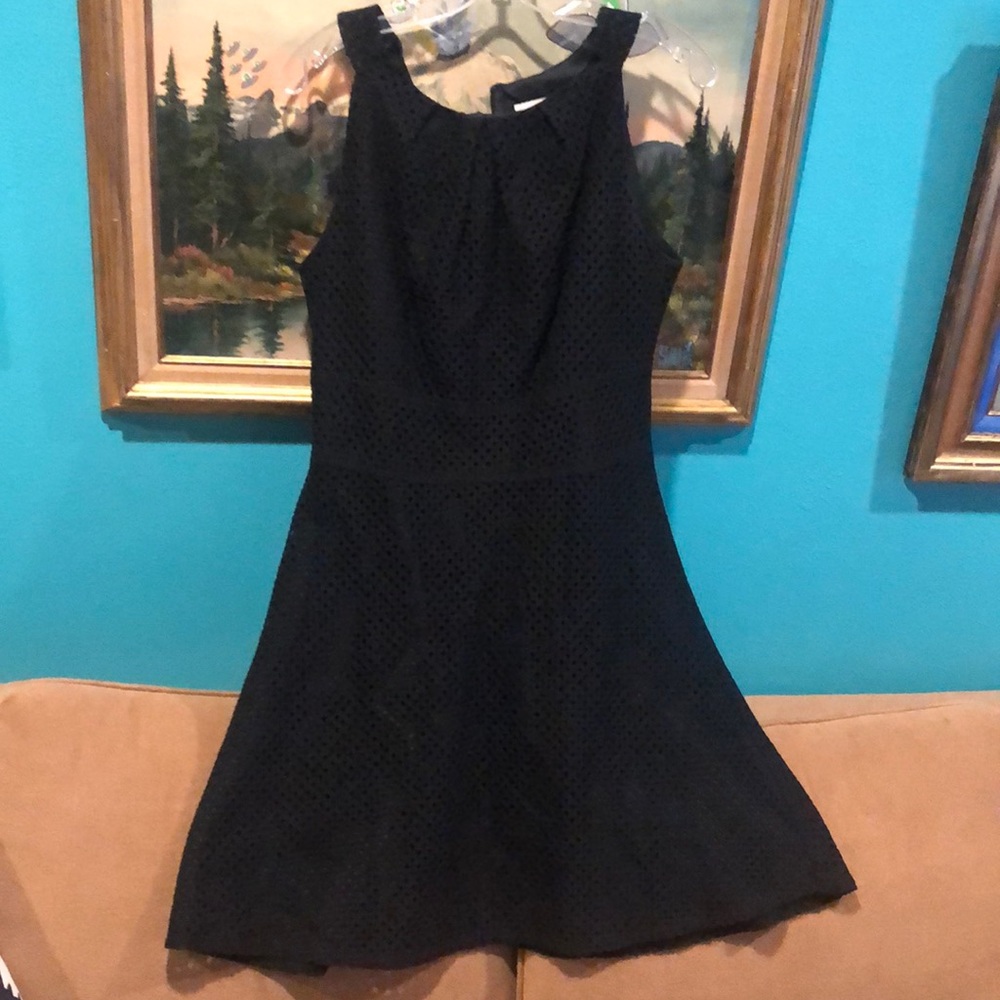 New York & Company Sleeveless Eyelet Black A Line lined Dress Size 8